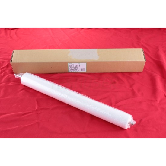 Ricoh AE045054 Orijinal Web Roller