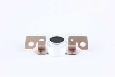 Ricoh B0394120 Orijinal Thermostat