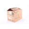 Ricoh Type 1 Orijinal Developer (885176-A0959645)