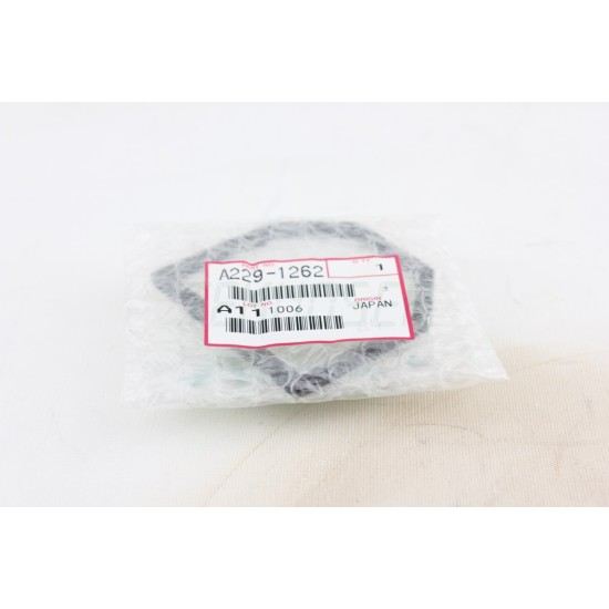 Ricoh A2291262 Orijinal Optics Dust Filter