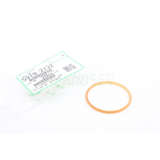 Ricoh 59192132 Orijinal Positioning Roller Belt