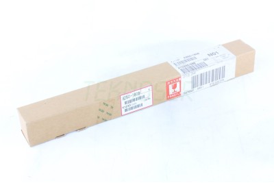 Ricoh A2501808 Orijinal Xenon Lamp