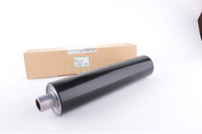 Ricoh AE011110 Orijinal Hot Roller